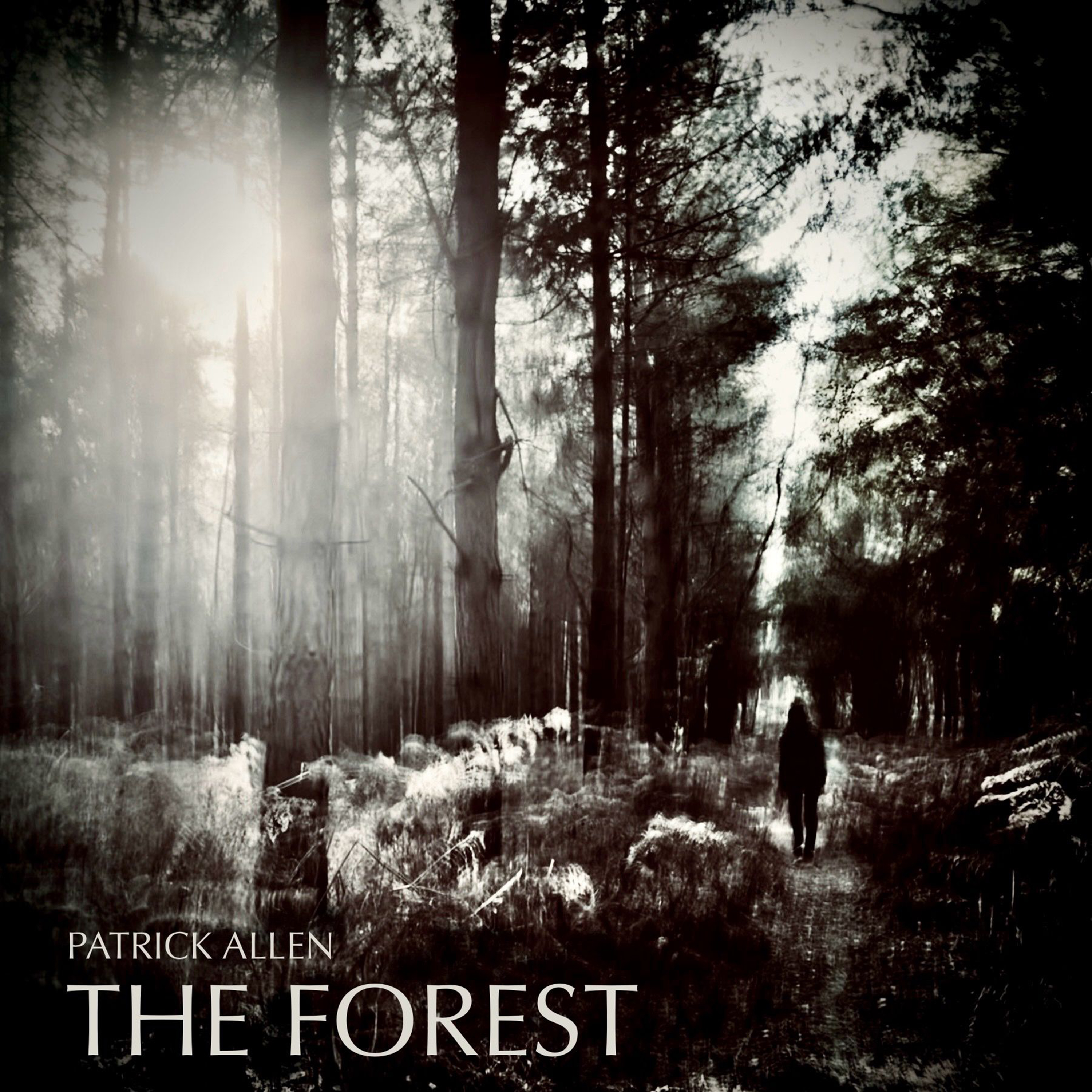 The Forest - Patrick Allen