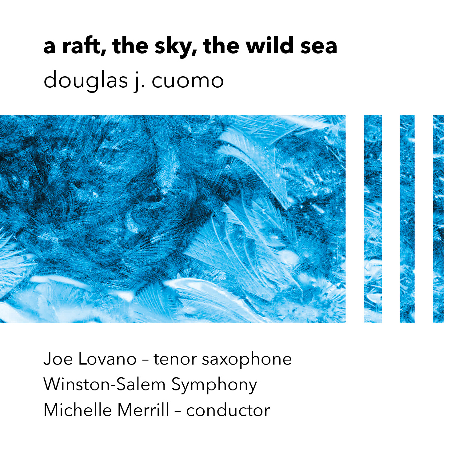 a raft, the sky, the wild sea - Douglas J. Cuomo